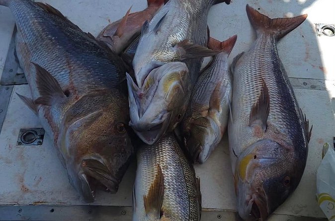 Kotor Private Fishing Adventure Blue Cave And Lunch - Logistics that can make or break the day