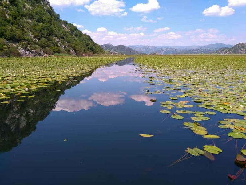 Kotor: Skadar Lake National Park with Wine Tasting - Boat ride through water lilies, reeds, and old fortresses