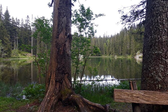 Kotor Tour to Durmitor - Black Lake & Tara River Bridge - Durmitor National Park time, lakes, pine, and peaks you can walk