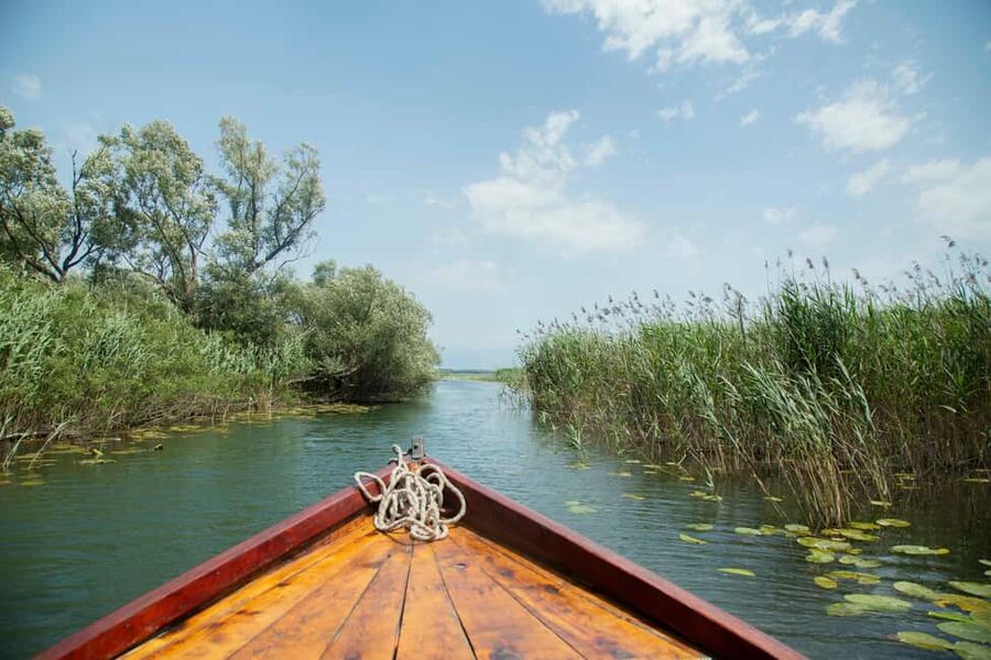 Lake Skadar: Guided Nature Cruise with Drinks - Secret stop and the short swim break you will plan around