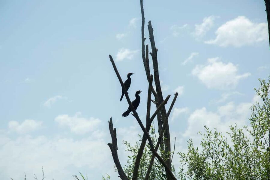 Lake Skadar: Guided Nature Cruise with Drinks - Rijeka Crnojevica canal exit: the ride finishes like it started