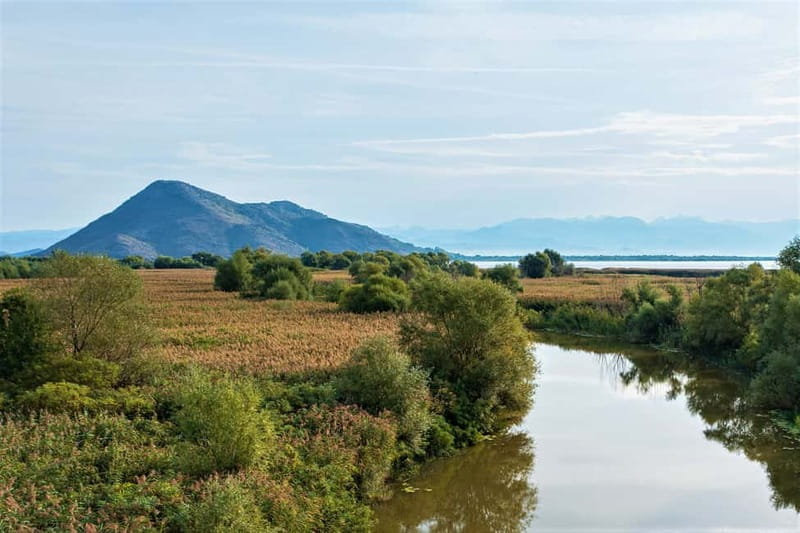 Lake Skadar National Park: Visit the Montenegrin Venice - Getting Onto the Water in Virpazar: The Start That Sets the Tone