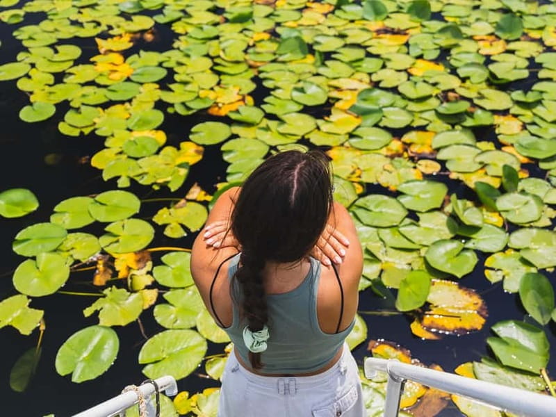 Lake Skadar National Park: Visit the Montenegrin Venice - Water Chestnuts and Lesendro: The Ruins Stop That Feels Like a Story