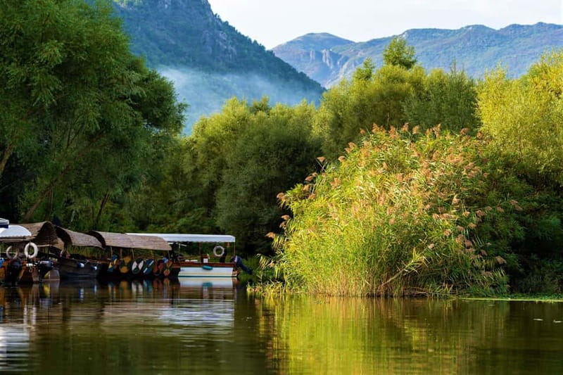 Lake Skadar National Park: Visit the Montenegrin Venice - Morača River and the Three-Island Stretch: Where the Water Lilies Take Over