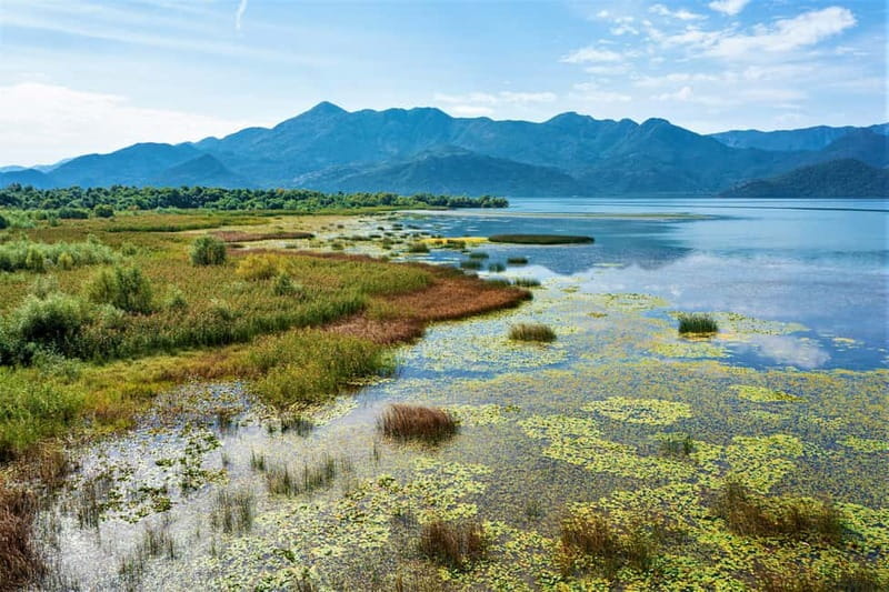 Lake Skadar National Park: Visit the Montenegrin Venice - Pavlova strana Fjord Vistas and the Wine Break: Enjoy It, Then Don’t Rush