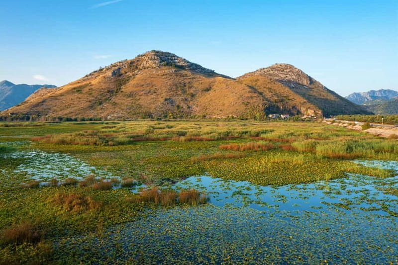 Lake Skadar National Park: Visit the Montenegrin Venice - Price and Value: What $210 Per Person Buys You (and What It Doesn’t)