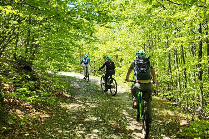 Lovćen with E-bike Serpentine Road to Kotor Cable Car - Practical tips that make the ride smoother