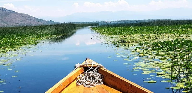 Montenegro: Skadar Lake boating, Locals & Wine Tour - Rvaši winery tasting in the real world, not a showroom