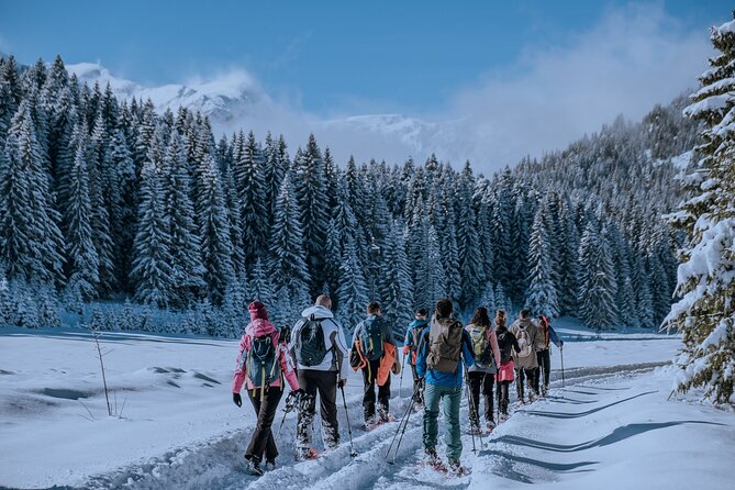 Montenegro Snowshoeing Durmitor - Why Durmitor Snowshoeing Feels Different Than Standard Tours