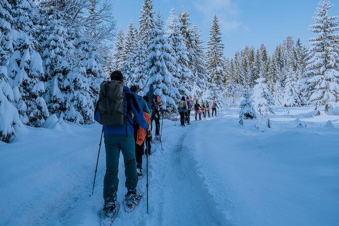 Montenegro Snowshoeing Durmitor - Finding the Start Point in Zabljak (And Why It Matters)