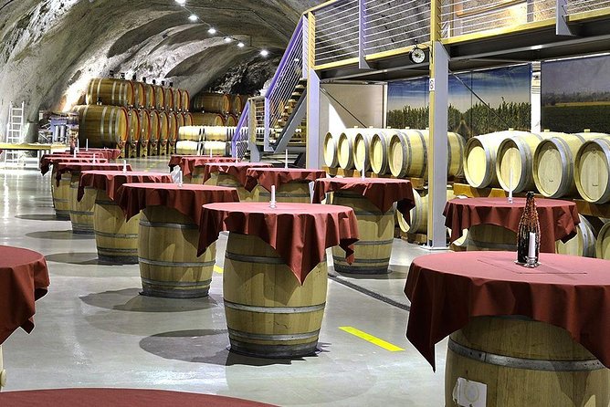 Montenegro wine tasting (Private tour) - The wine education piece you will actually use