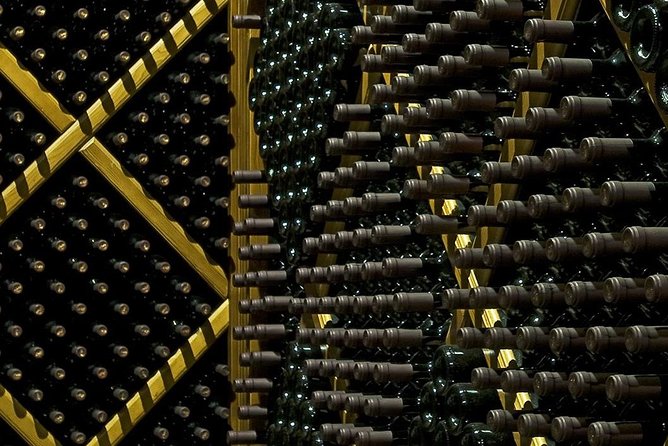 Montenegro wine tasting (Private tour) - Stop 1 at Wine cellar Šipčanik (13. Jul Plantaže): Krstač, Vranac, and Pro Corde