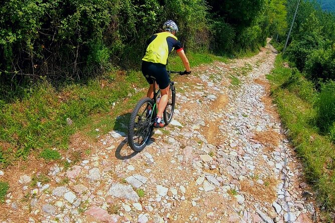 Mountain Biking on Vrmac peninsula - Panoramic view on Kotor bay - Trojica start point near Fort Trojica