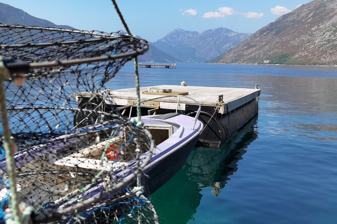 Mussel & Oyster Farm with Perast visitation Private Tour - Who this tour fits best in the Bay of Kotor