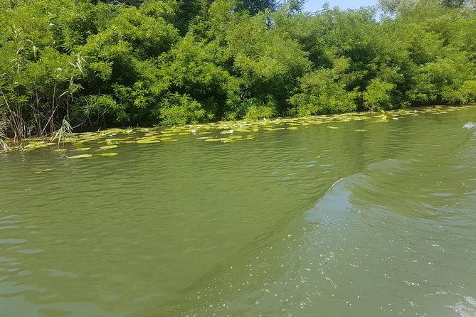 National park Skadar Lake (Private tour) - The boat trip: your best angle for birds and plant life