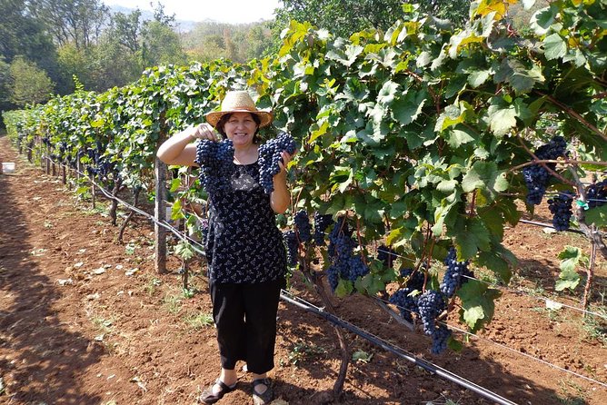 National parks and wine tasting (NP Lovcen, NP Skadar lake, Cetinje, Njegusi) - Price and value for $274.94 per person (and what can change it)