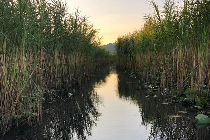 Noah's Ark Skadar Lake Journey - Ilija and the captain vibe: why the day feels easy