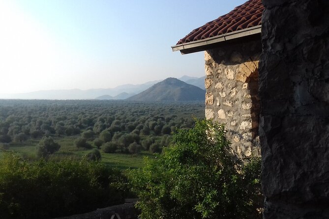 Noah's Ark Skadar Lake Journey - Skadar Lake by boat: the Virpazar area experience