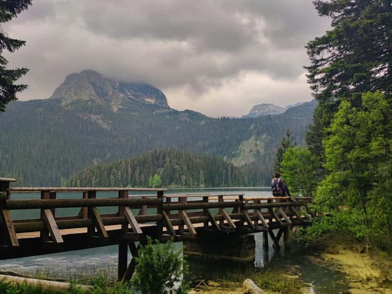 North Montenegro Private Tour - Đurđevića Tara Bridge: 170 meters up, with time to really look