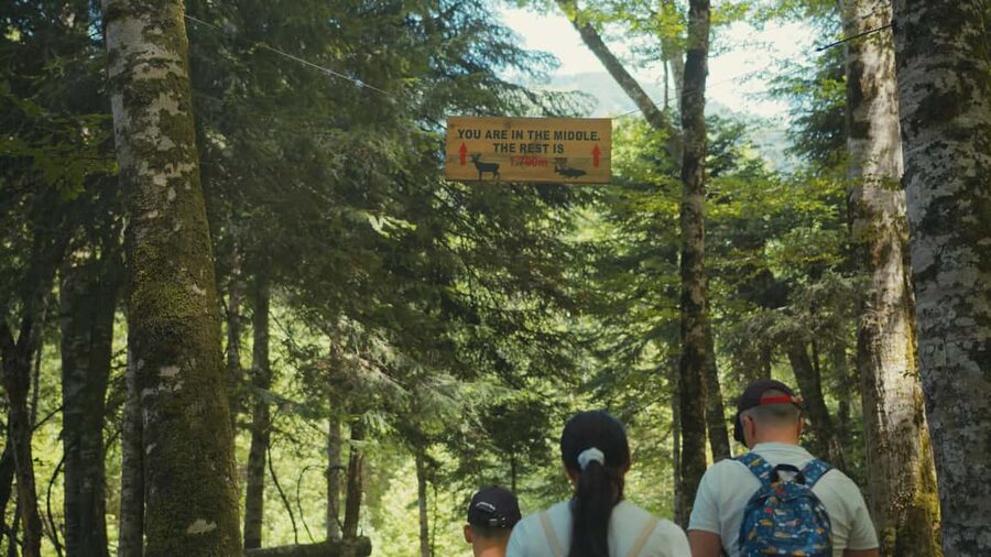 North Montenegro return trip - Biogradska Gora National Park - Price and Value: What You Pay for at $168 Per Person