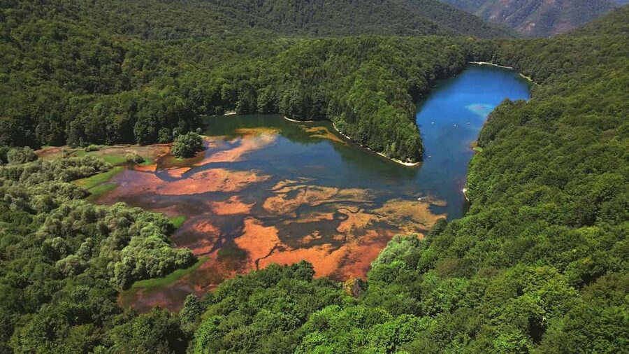 North Montenegro return trip - Biogradska Gora National Park - Should You Book This Private Return Trip?