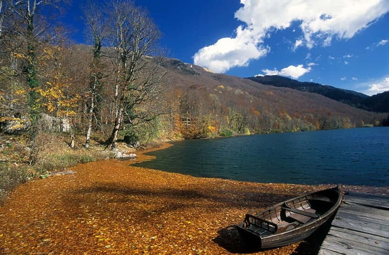 NORTH OF MONTENEGRO The heart of Montenegro! - Biogradska Gora National Park and Biograd Lake: forest that feels protected for a reason
