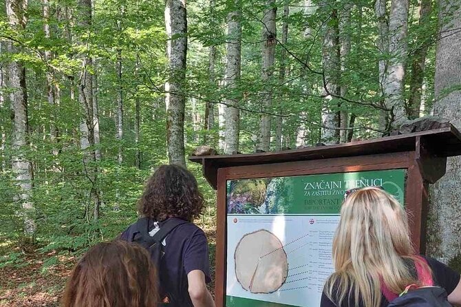 NORTH TOUR Np Biograd Gora-Lake-Moraca Canyon & Monastery-Kolasin - The Kolasin hour, small-town stops that add texture
