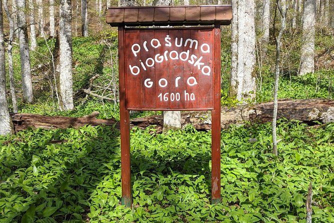 NP Biogradska Gora and Canyon Moraca (Private tour) - The Moraca River Canyon road: why this drive is the headline