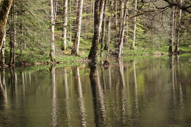 NP Biogradska Gora and Canyon Moraca (Private tour) - Free time at the lake, what to do with it (and what not to rush)