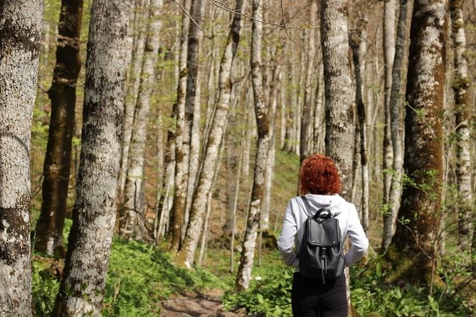 NP Biogradska Gora and Canyon Moraca (Private tour) - What the day feels like: timing, comfort, and getting the most out of it