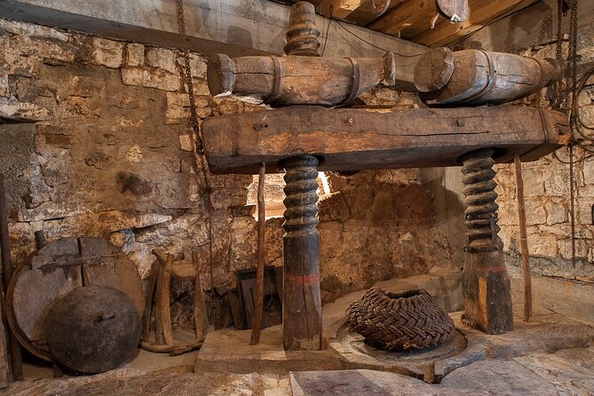 Olive oil farm to fork experience & short walking tour of Kotor - A 200-Year Family Estate With Nearly 1,000 Olive Trees