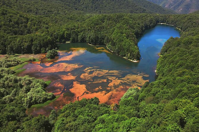 Podgorica Day Trip to North - Biogradska Gora National Park - Key highlights that make this day trip worth it