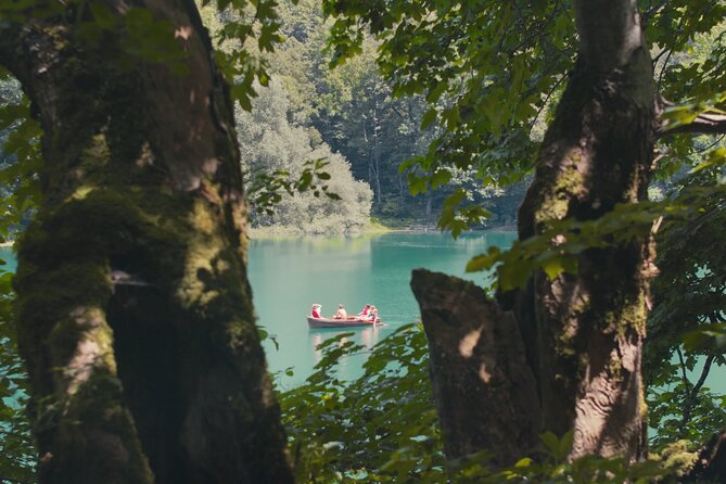 Podgorica Day Trip to North - Biogradska Gora National Park - Why Biogradska Gora works so well from Podgorica