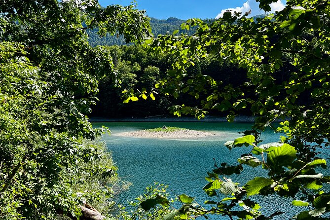 Podgorica Day Trip to North - Biogradska Gora National Park - Stop 1: Biogradska Gora National Park and that UNESCO-protected forest feeling