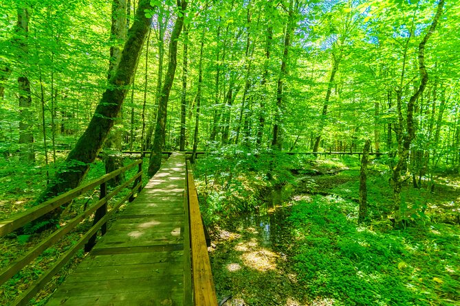 Podgorica Day Trip to North - Biogradska Gora National Park - Price and value: what you’re paying for, and what costs extra