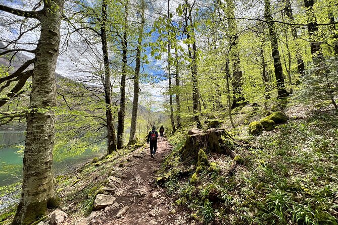 Podgorica Day Trip to North - Biogradska Gora National Park - What to bring for a full-day nature route