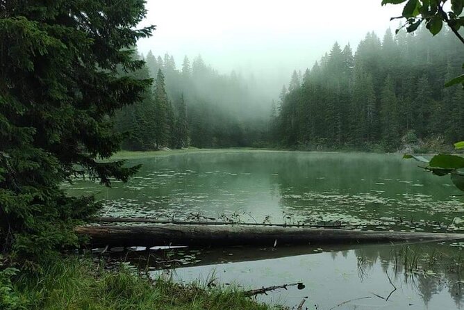 Podgorica Day Trip to North - Biogradska Gora National Park - Weather matters more than you think