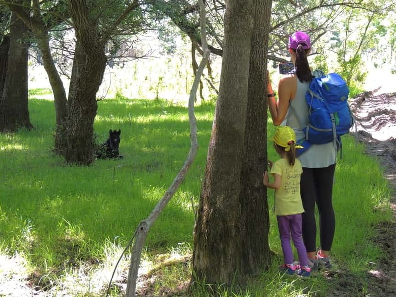 Podgorica Historic, Safari and Winery tour - Skadar lake - Zabljak Crnojevica: abandoned fortress first, questions answered