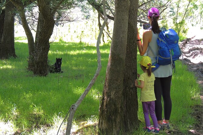 Podgorica Historic, Safari and Winery tour - Skadar lake and River Crnojevica - Skadar Lake and Crnojevica River route, in plain terms