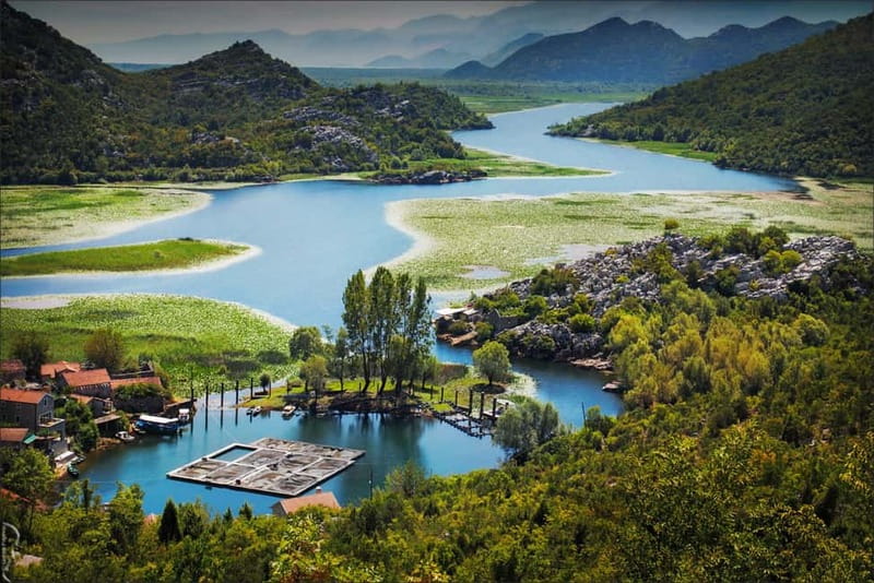 Podgorica Historic, Safari and Winery tour - Skadar lake - Getting there from Podgorica, and why the timing works