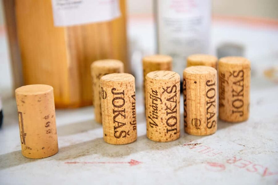 Podgorica: Panoramic Wine Tasting & Snack - The setting: where your eyes will keep wandering