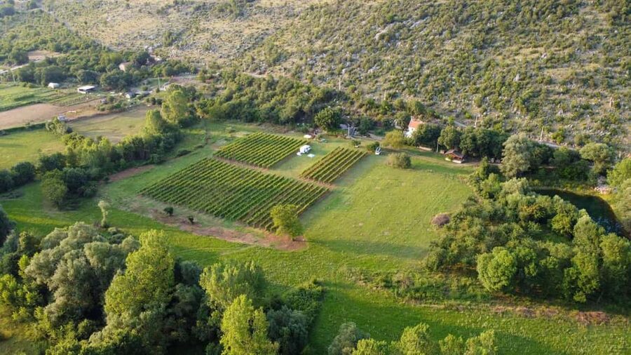 Podgorica: Panoramic Wine Tasting & Snack - Food matters here: homemade cheese, salami, prosciutto, olives, and more