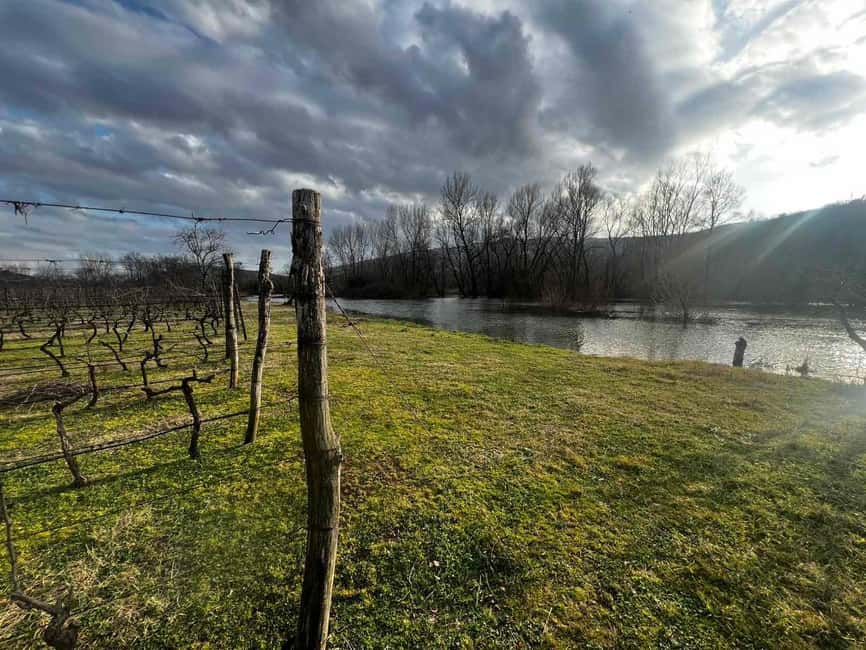 Podgorica: Panoramic Wine Tasting & Snack - The guided hour: learn the basics without making it feel like homework
