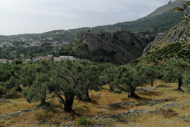 Port of Bar tour - Explore Adriatic area - Bar and Ulcinj tour - Key Points to Know Before You Go