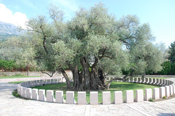 Port of Bar tour - Explore Adriatic area - Bar and Ulcinj tour - Price and Value: What You Get for Around $296