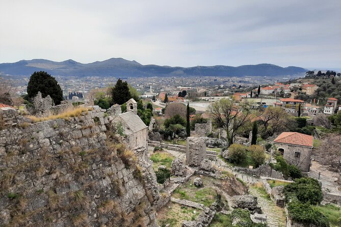 Port of Bar tour - Explore Adriatic area - Bar and Ulcinj tour - Old Olive Tree: A 2,400-Year Photo Break That Feels Like Time Travel