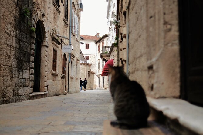 Port of Kotor - Kotor-Perast-Our lady of the rocks private tour - Who This Tour Is Best For