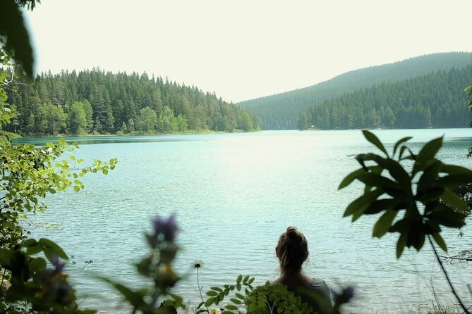 Private Durmitor National Park and Black Lake Tour - Djurdjevica Tara bridge: canyon views and a true adrenaline add-on