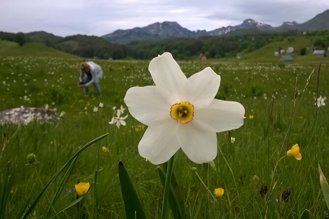 Private Full-Day Tour in Moraca and Tara Canyons, Durmitor & Biogradska Gora NP - Value and what you actually get for the price