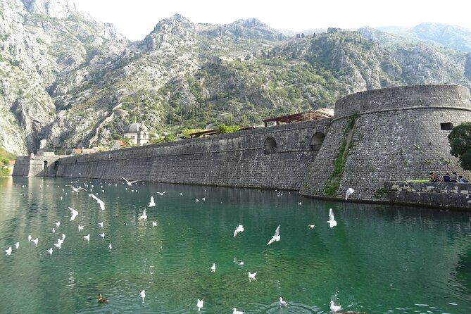 Private Full-Day Tour -Kotor tour, Saint Stefan & NP Skadar Lake - Timing, logistics, and what to pack for a 9 to 10 hour day
